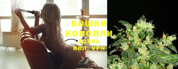 стаф Семилуки