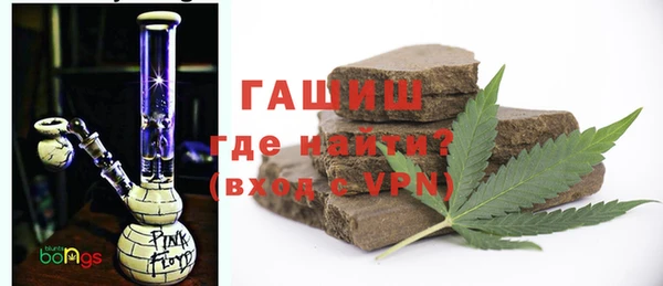 индика Балахна