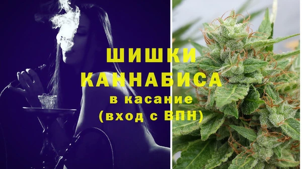 индика Балахна
