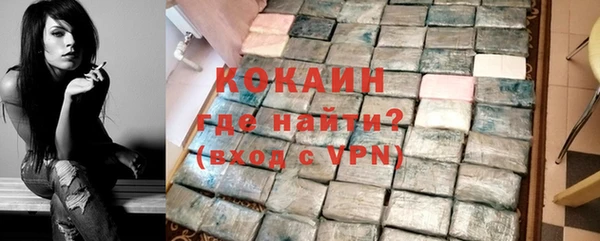 индика Балахна