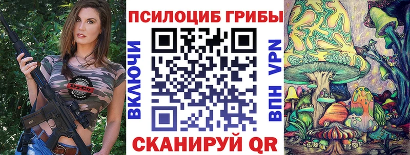наркотики  Красный Холм  Псилоцибиновые грибы мухоморы 